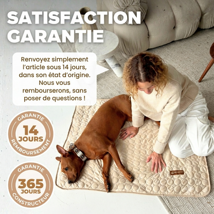 CoolPaw™ - Enfin un chien au frais, même pendant les fortes chaleurs