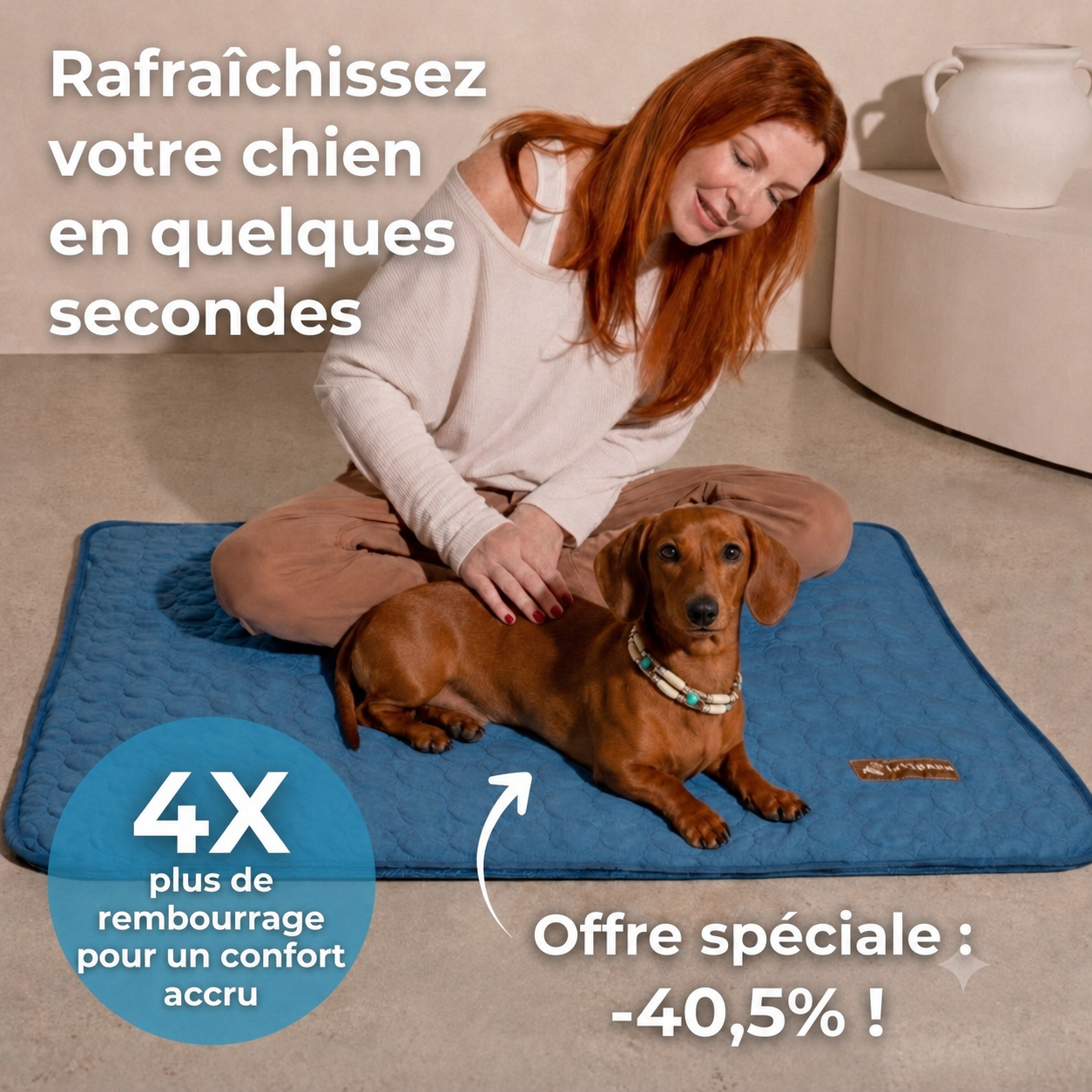 CoolPaw™ - Enfin un chien au frais, même pendant les fortes chaleurs