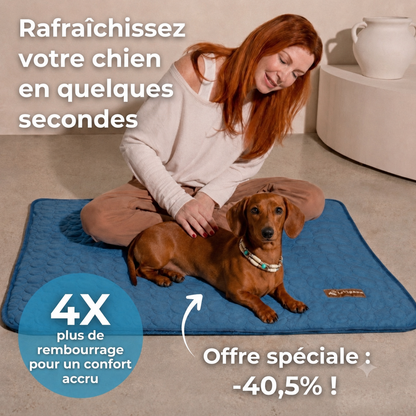 CoolPaw™ - Enfin un chien au frais, même pendant les fortes chaleurs