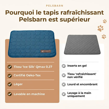 CoolPaw™ - Enfin un chien au frais, même pendant les fortes chaleurs