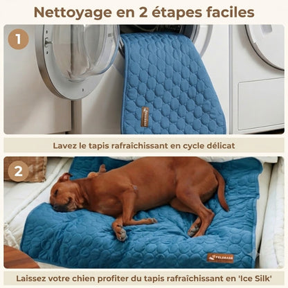 CoolPaw™ - Enfin un chien au frais, même pendant les fortes chaleurs
