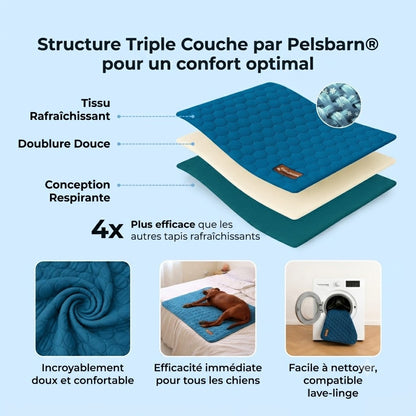 CoolPaw™ - Enfin un chien au frais, même pendant les fortes chaleurs